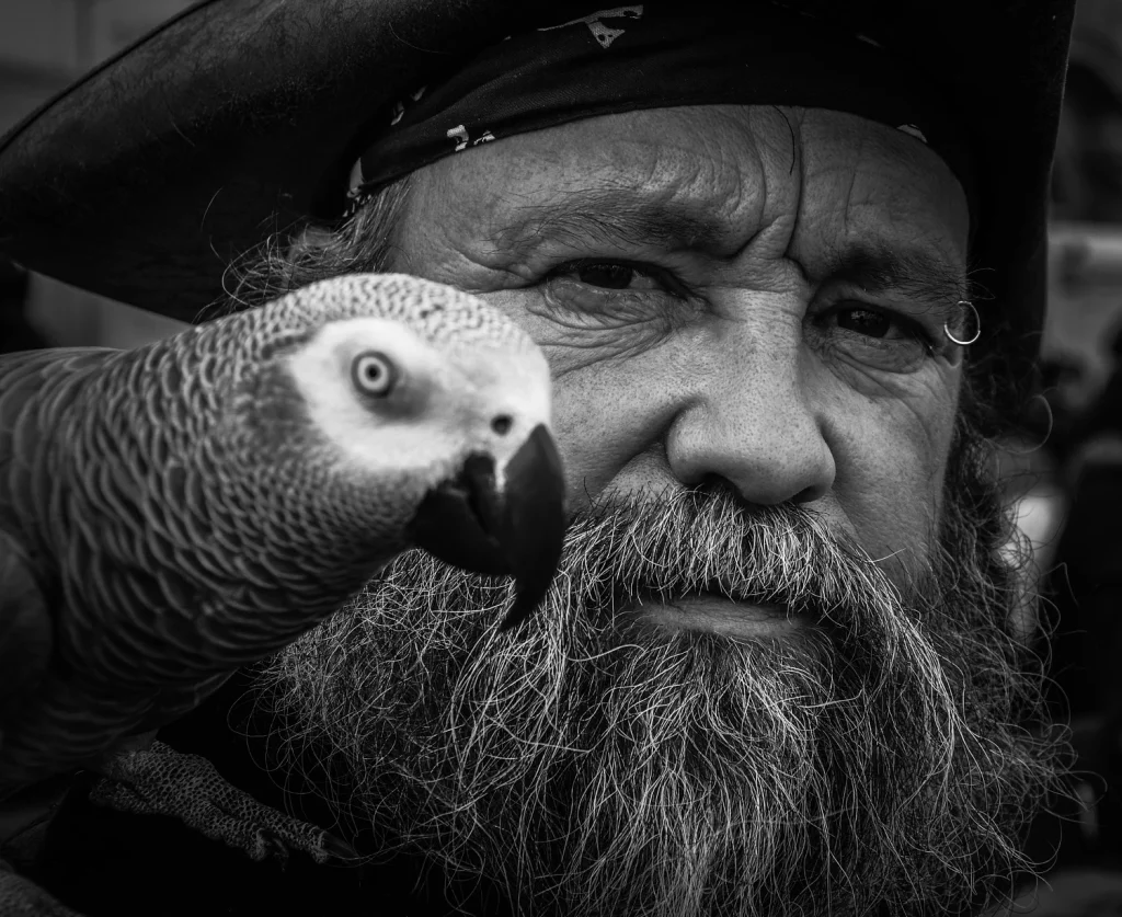 African Grey Parrot Intelligence