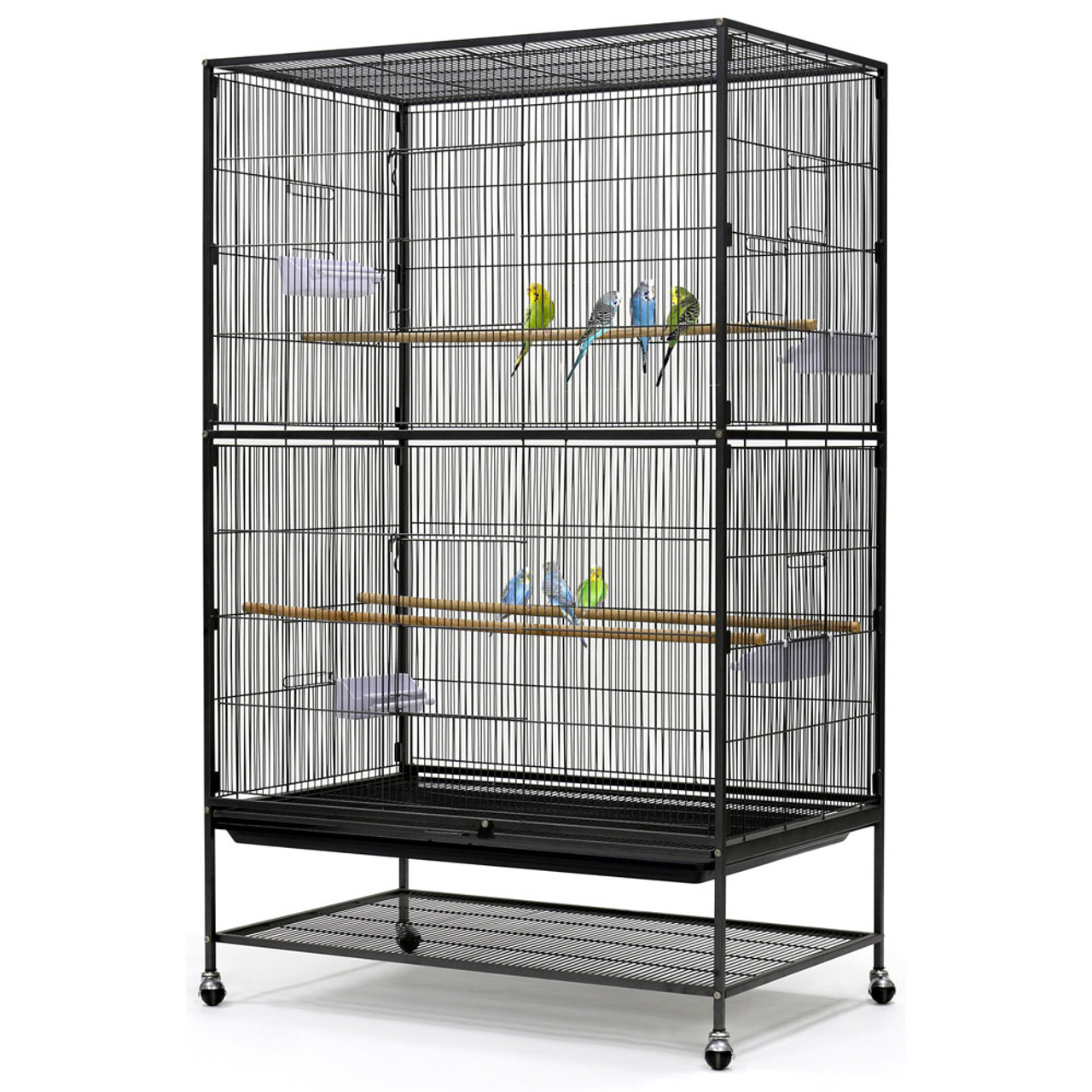 How to Care For a Zebra Finch Featherland Bird Cage